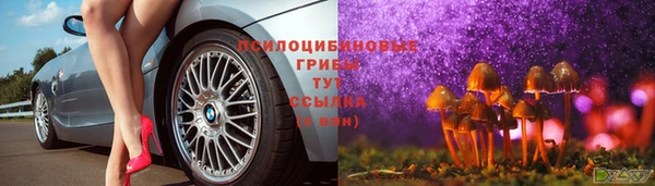 бутират Магас