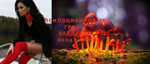 мяу мяу мука Магадан